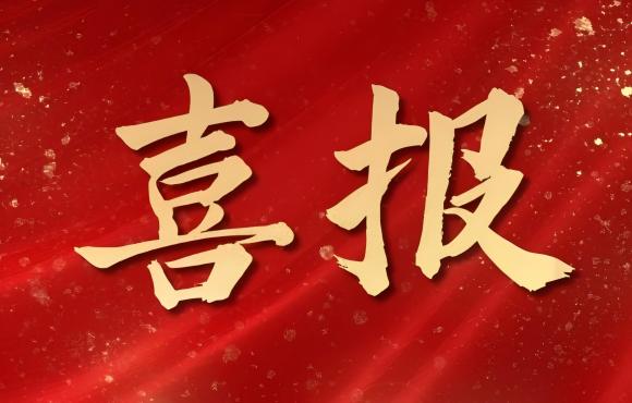 TOP 12！中節能國禎榮登中國品牌價值 “其他服務類”