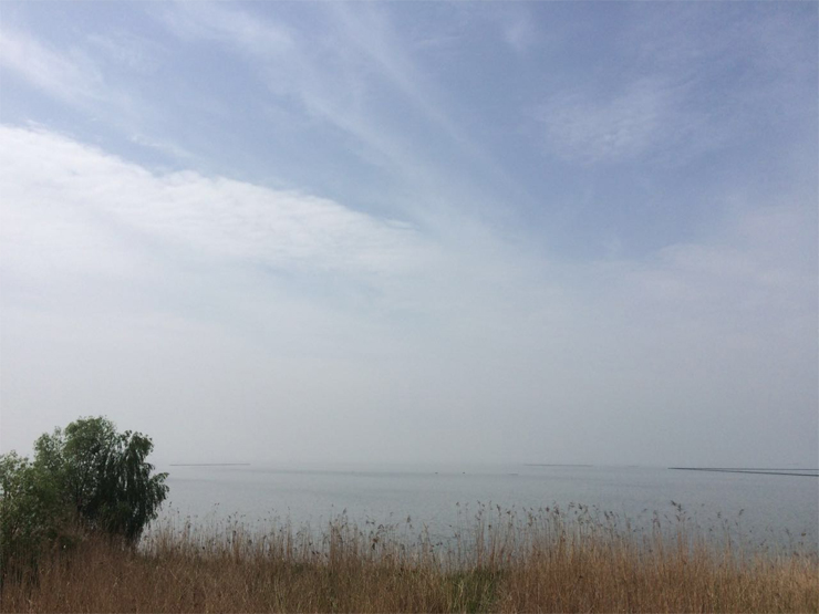 國禎環保-快樂國禎環湖毅行沿途風景